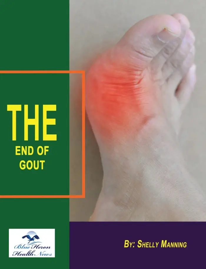 The End of Gout Ebook PDF